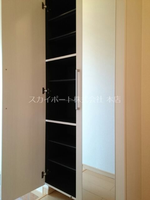 ハナミズキ その他8