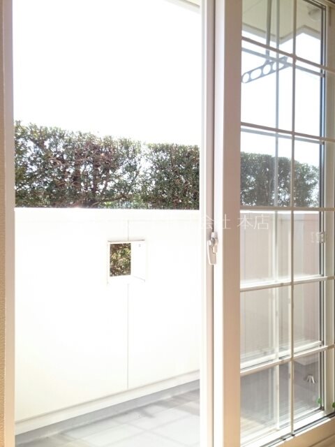 ハナミズキ ベランダ