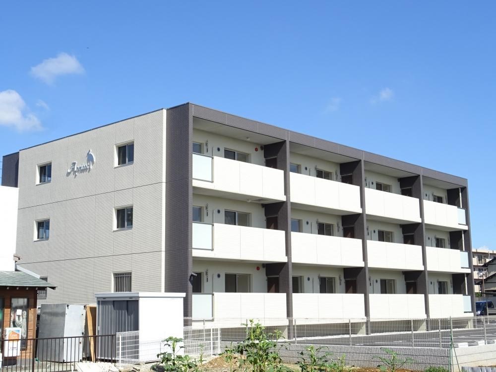 Apricot 外観