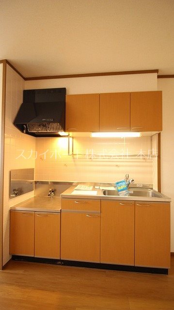 ノースエレガンスハギオカ キッチン