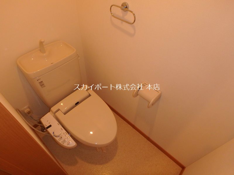 オリーブ その他2