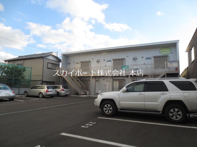 オリーブ その他7