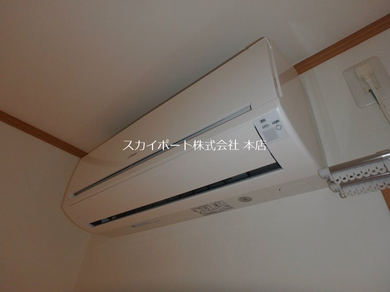 オリーブ その他8