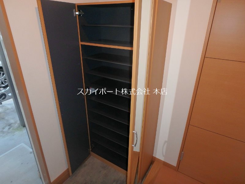 オリーブ その他11