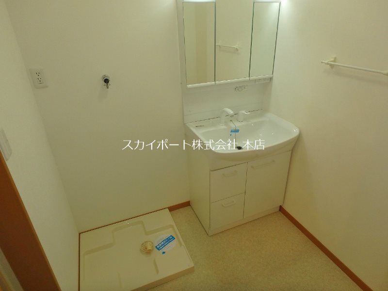 オリーブ その他12