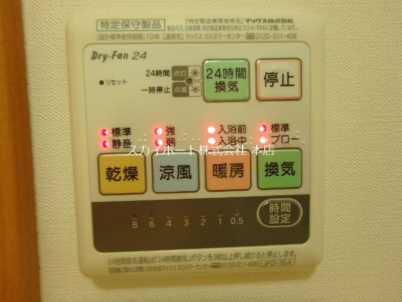 オリーブ その他13