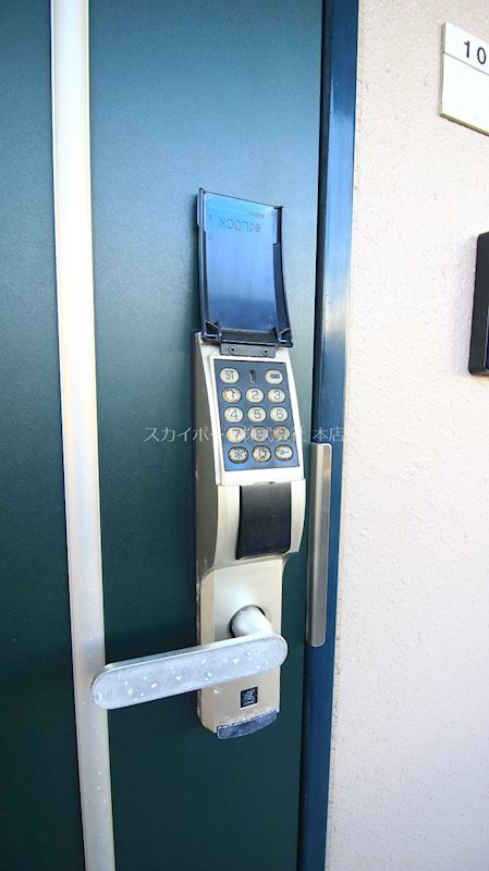 アポロミレニア その他8