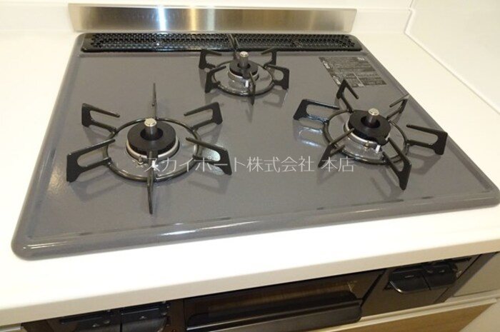 ぴりか／ひより　ひより その他12