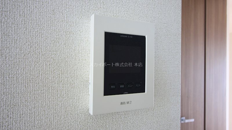 アイリス初生　A その他3