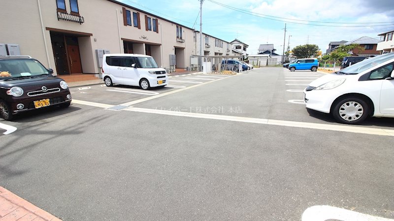アイリス初生　A その他6