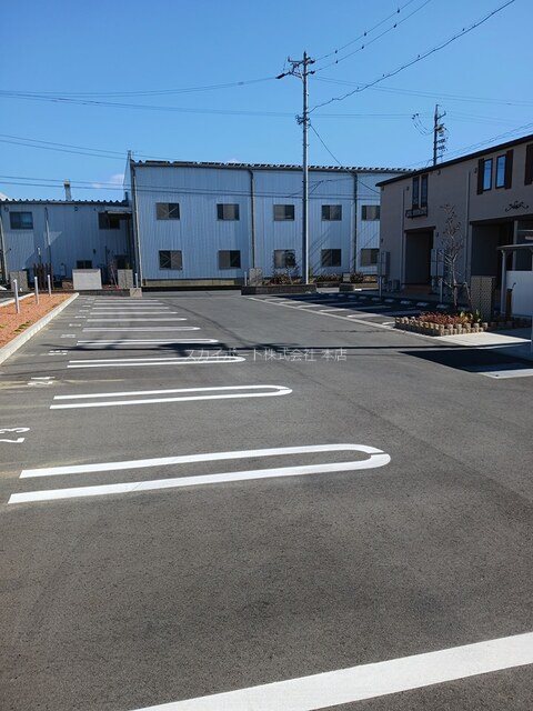 アイリス初生　A その他8