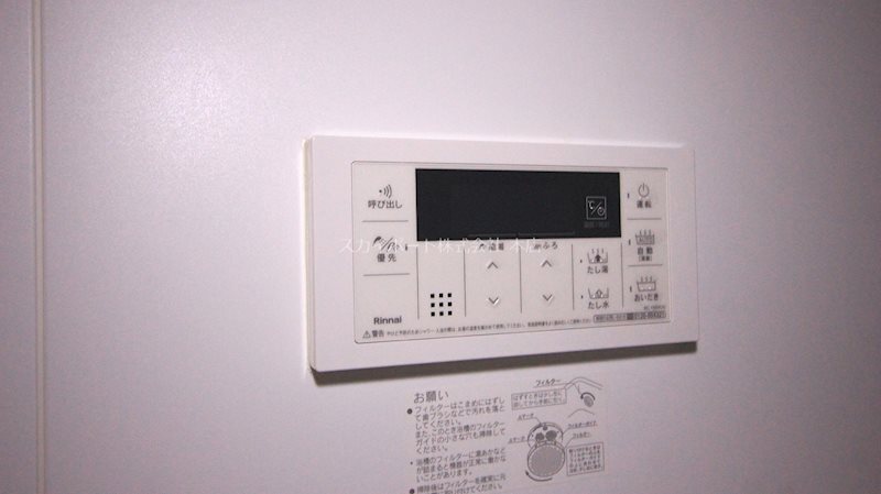 アイリス初生　A その他13