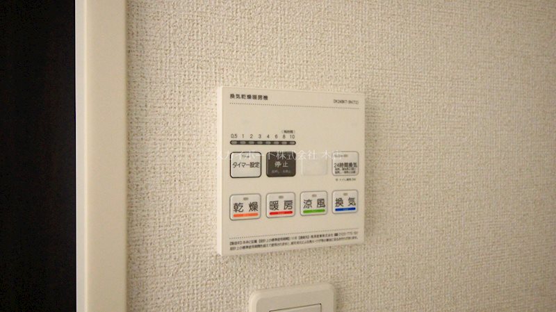 アイリス初生　A その他16