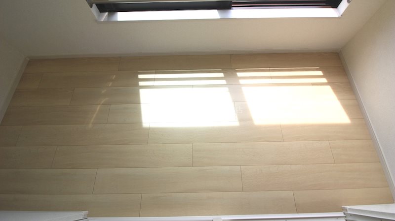 アイリス初生　A その他28