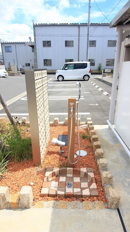 アイリス初生　A その他35