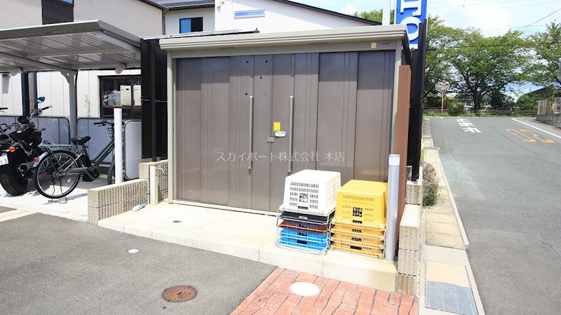 アイリス初生　A その他36