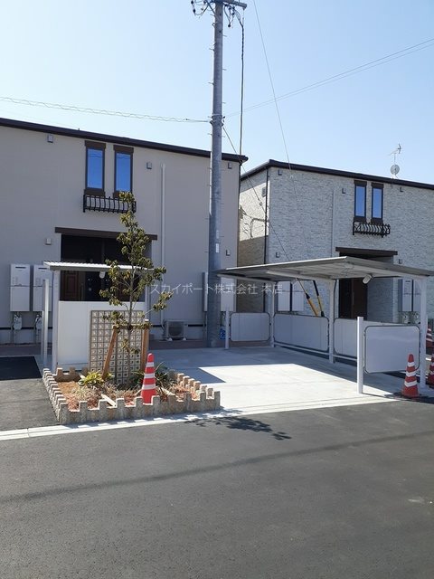 アイリス初生　B その他4