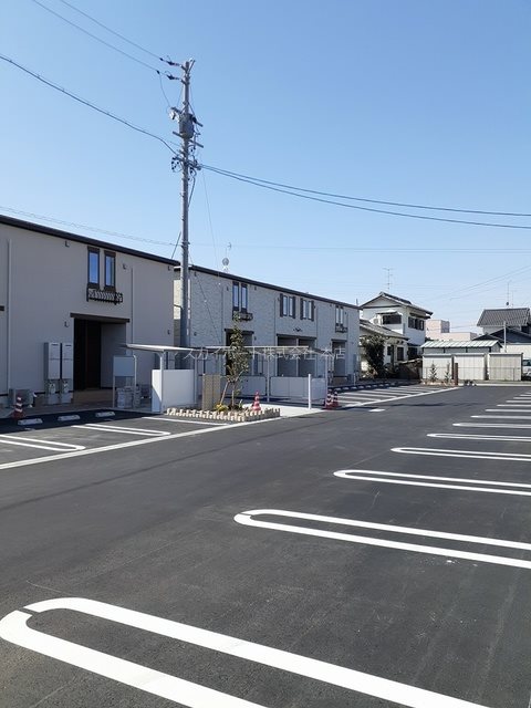 アイリス初生　B その他5