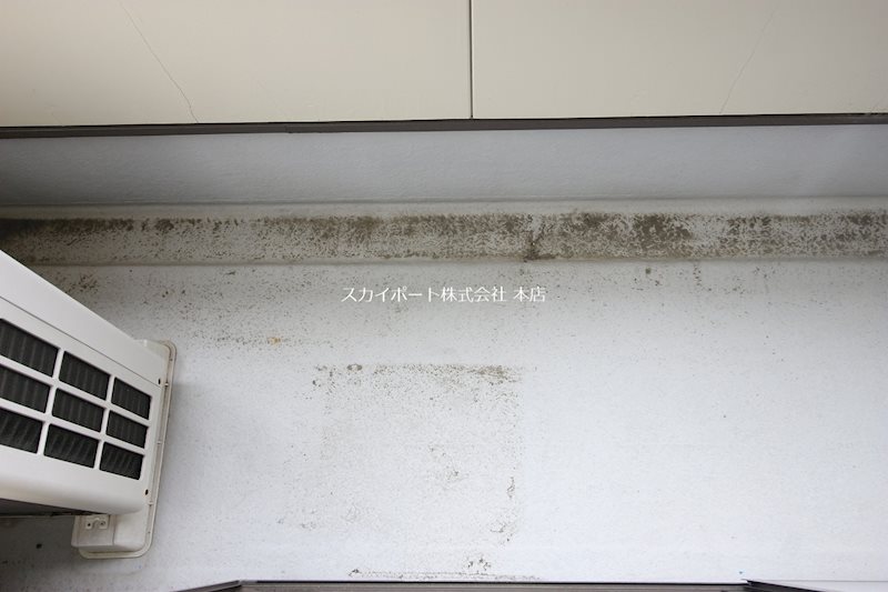 エース その他17