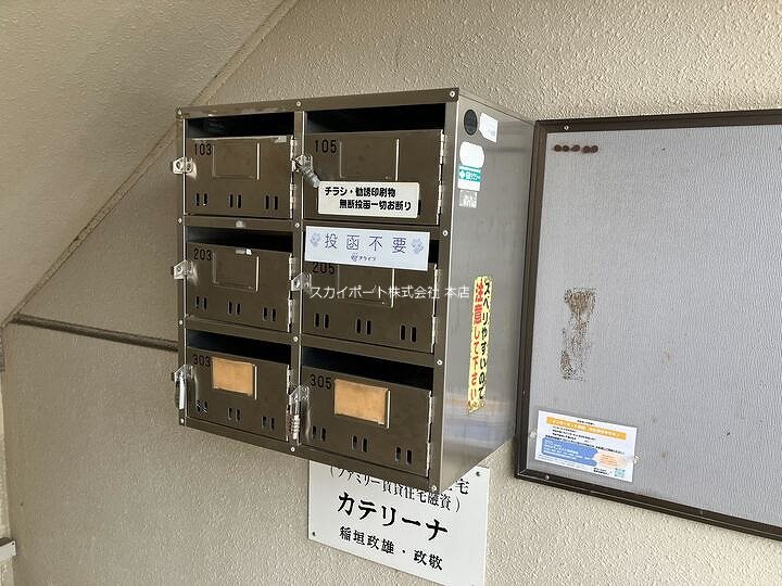 カテリーナ その他7
