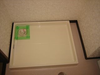 マスカット・Ｓ その他13