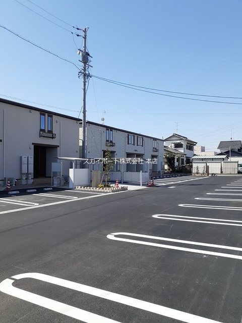 アイリス初生　B その他4