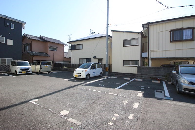 レーディゲン初生 その他1