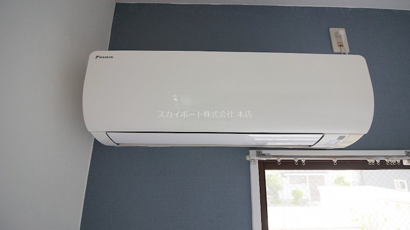 レーディゲン初生 その他5