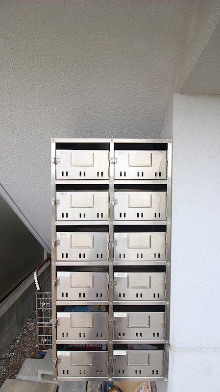 レーディゲン初生 その他6