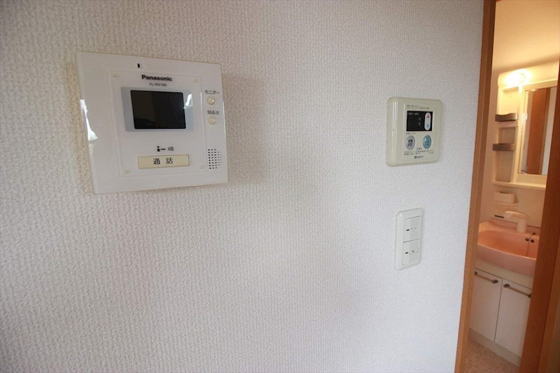 ブルーベリー その他4