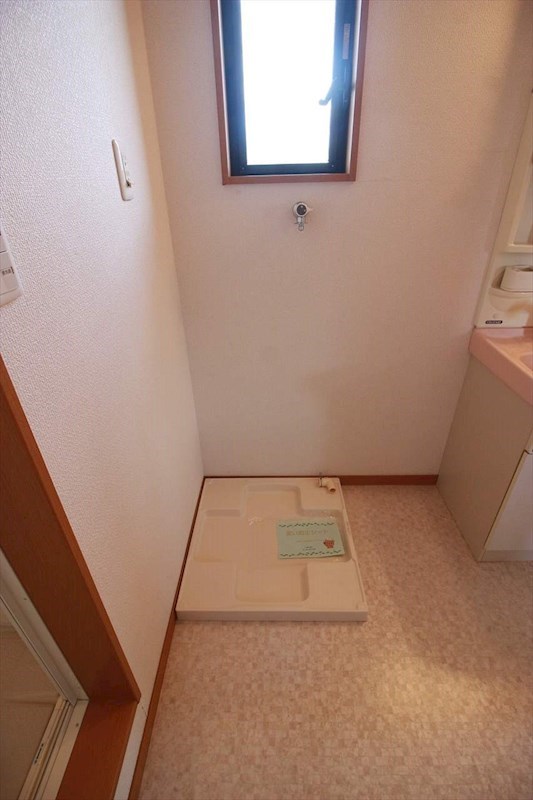 ブルーベリー その他13