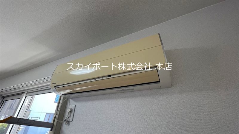 ウィルモア幸 その他5