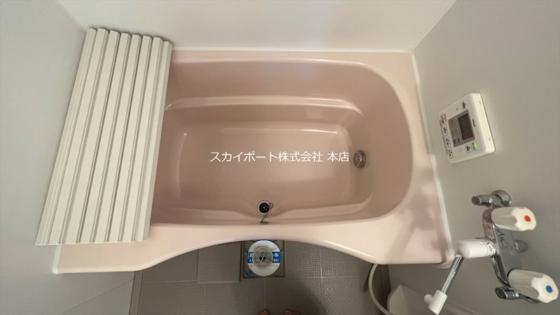 ウィルモア幸 その他13