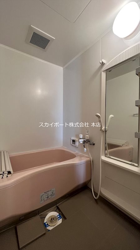 ウィルモア幸 その他14