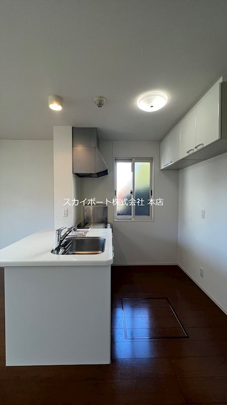 ウィルモア幸 その他20