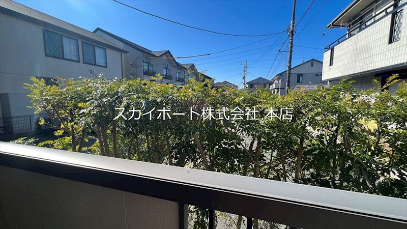 ウィルモア幸 その他36