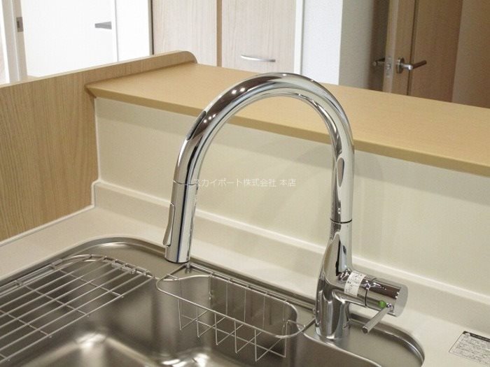 プレシャス初生 その他8