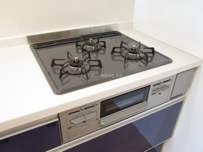 プレシャス初生 その他9