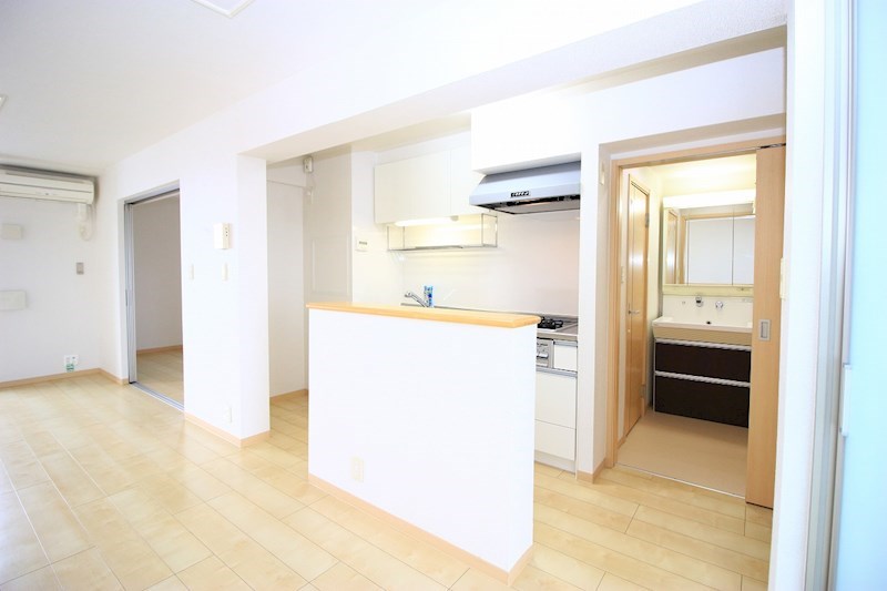 サンリット初生 その他11