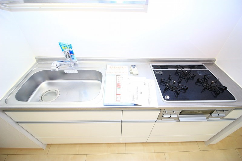 サンリット初生 その他12