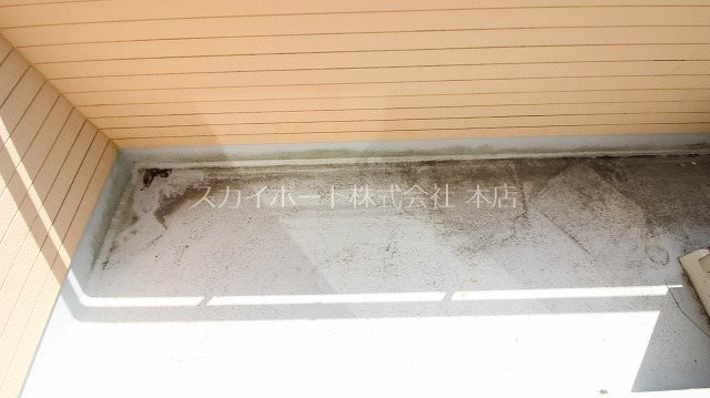 ドミールＭ その他22