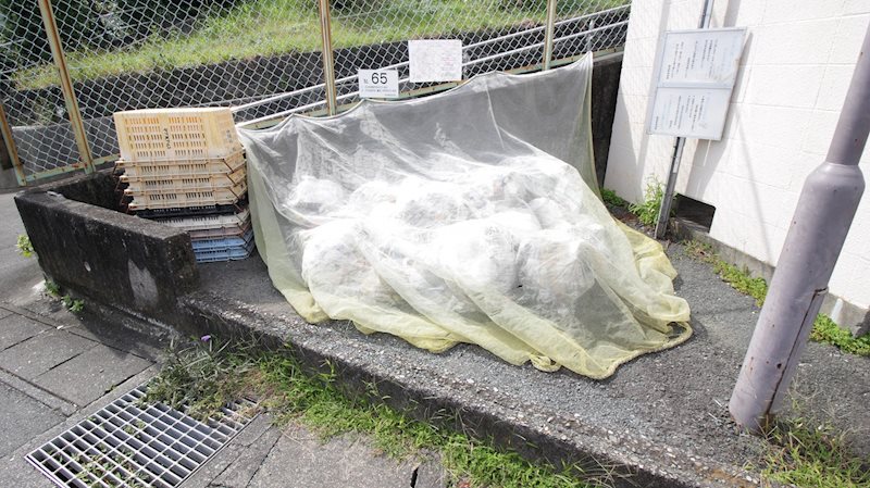 朝日プラザ和合 その他19