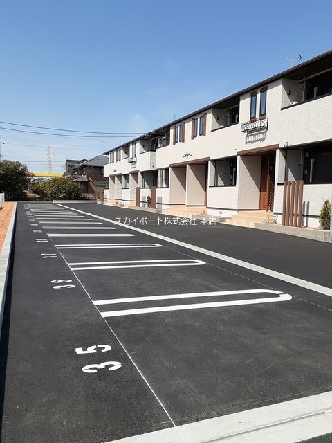 アイリス初生　D その他5