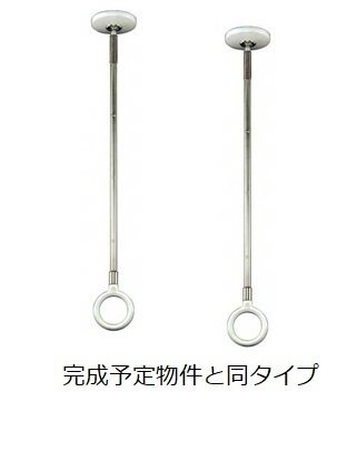 アイリス初生　D その他10