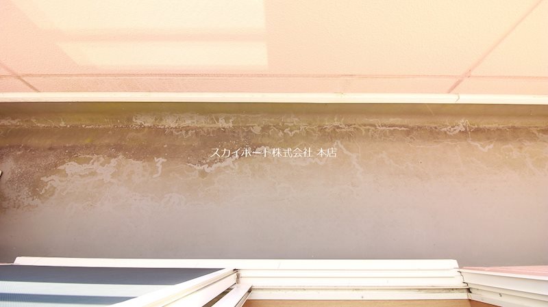 サンライフ宏和 その他19