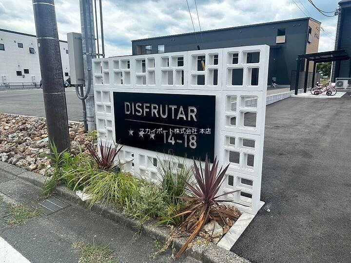 DISFRUTAR その他2