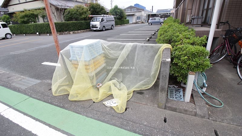 プルミエ その他5