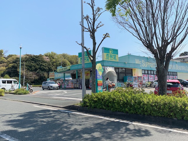 セレッソ ドラッグストア
