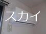 ハイカムール有玉 その他4