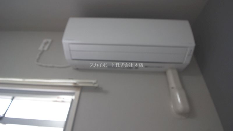 FOREST F その他3